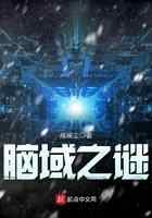 脑域之谜