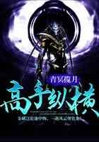 高手纵横