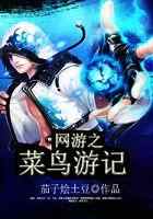 网游之菜鸟游记