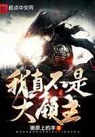 我真不是大领主