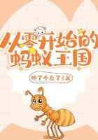 从零开始的蚂蚁王国