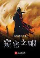 窥密之眼