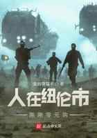 人在纽伦市，刚刚零元购