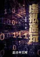 虚拟高玩