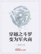 穿越之斗罗变为军火商