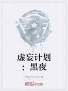 虚妄计划：黑夜