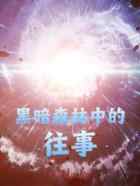 黑暗森林中的往事