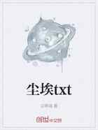 尘埃txt