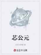 芯公元