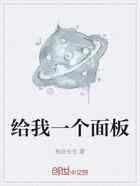 给我一个面板