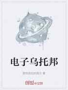 电子乌托邦