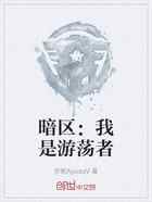 暗区：我是游荡者