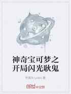 神奇宝可梦之开局闪光耿鬼