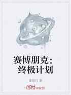 赛博朋克：终极计划
