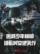 医武少年林枫：错乱时空逆天行
