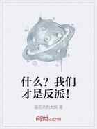 什么？我们才是反派！