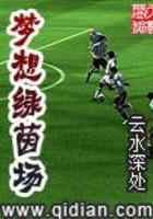 梦想绿茵场
